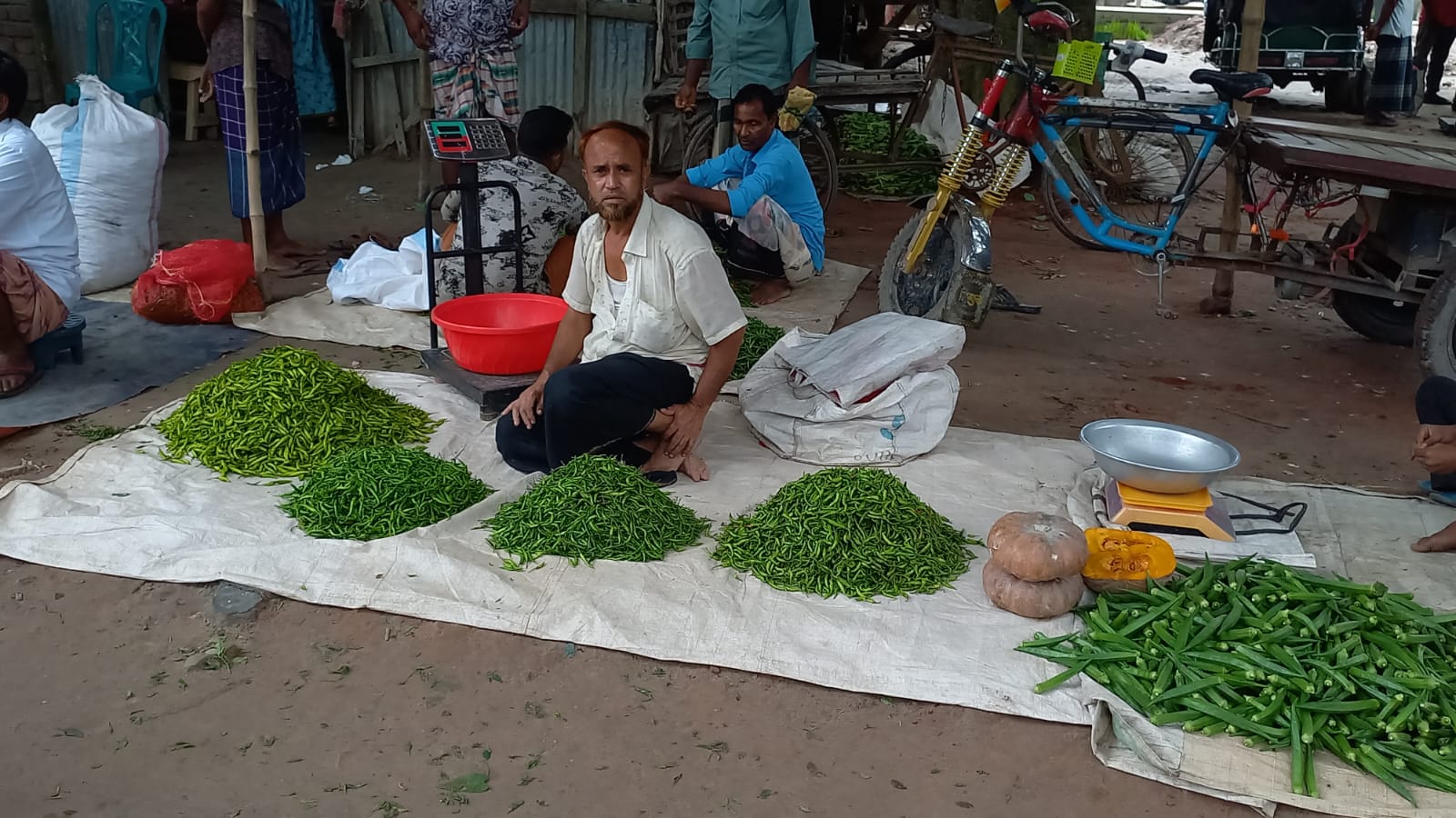 বিরামপুর বাজারে কাঁচা মরিচ চোখ রাঙাচ্ছে